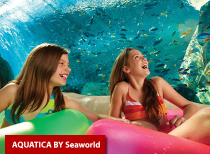 SeaWorld Two Park Ticket - Acima de 3 anos